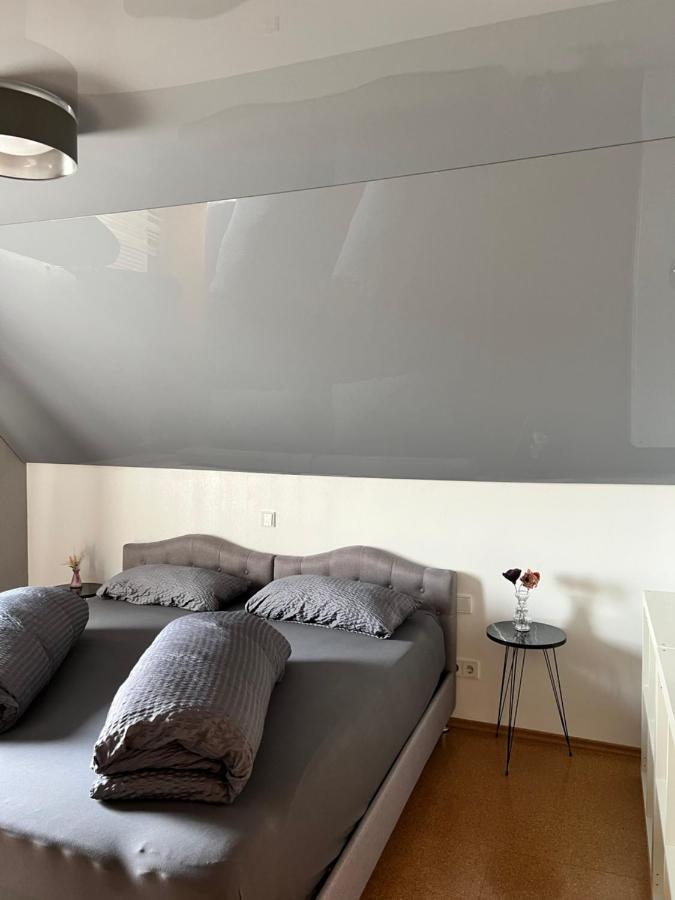 Lifestyle Apartment Sinsheim Kültér fotó