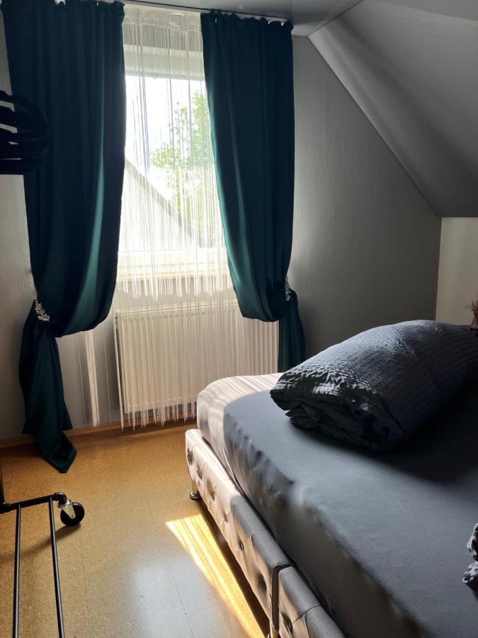 Lifestyle Apartment Sinsheim Kültér fotó