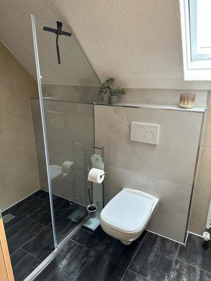 Lifestyle Apartment Sinsheim Kültér fotó